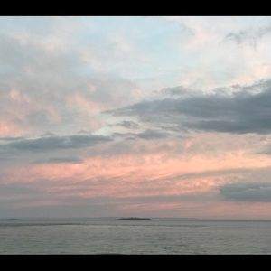 Meet your Posher, Rose